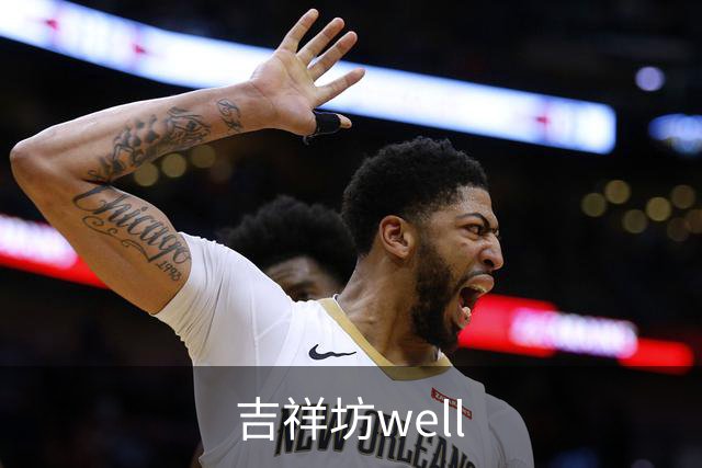 吉祥坊well公司简介